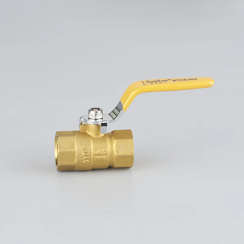Universal gaz valfi